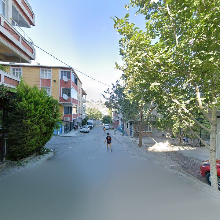 Fotoğraf 8