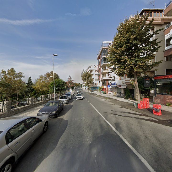 Fotoğraf 12