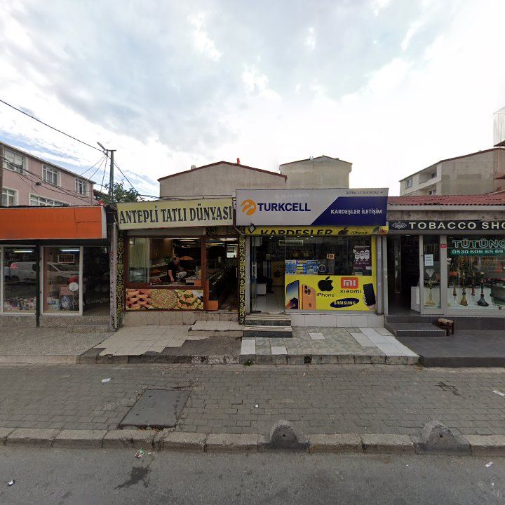 Fotoğraf 3