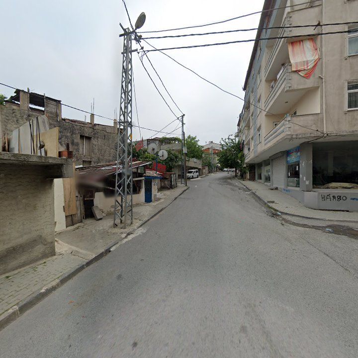 Fotoğraf 2
