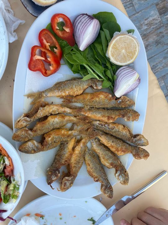 Fotoğraf 2