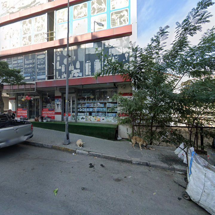 Fotoğraf 6
