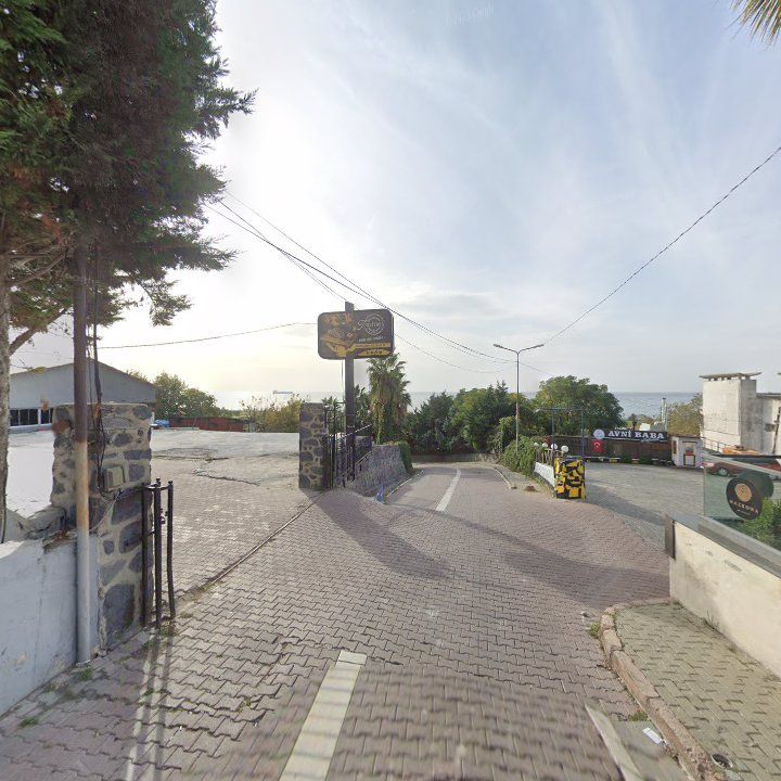 Fotoğraf 7