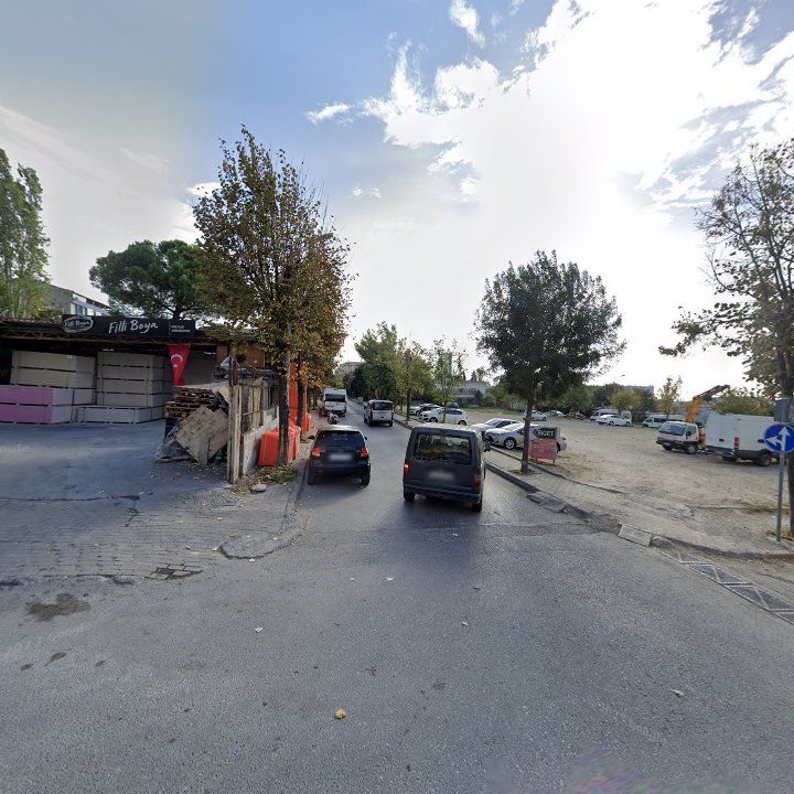 Fotoğraf 10