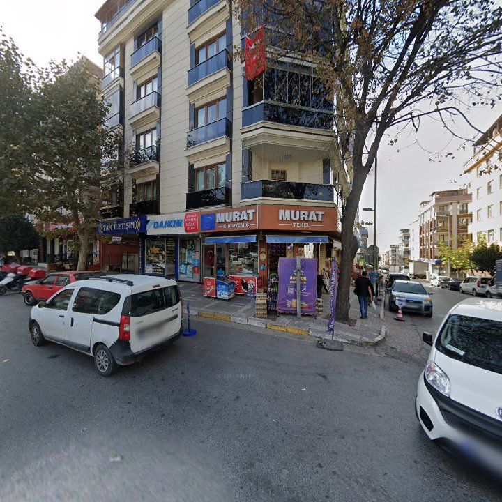 Fotoğraf 11