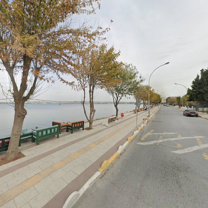Fotoğraf 11