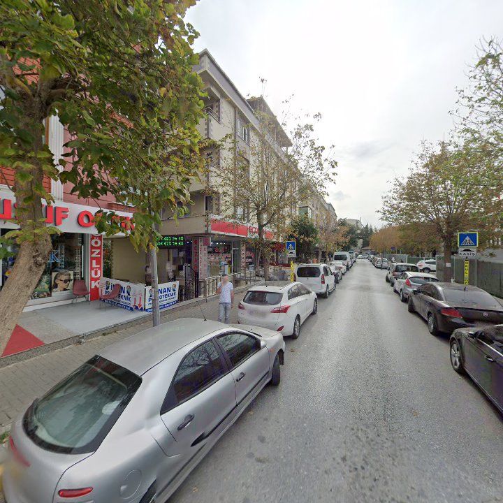 Fotoğraf 7