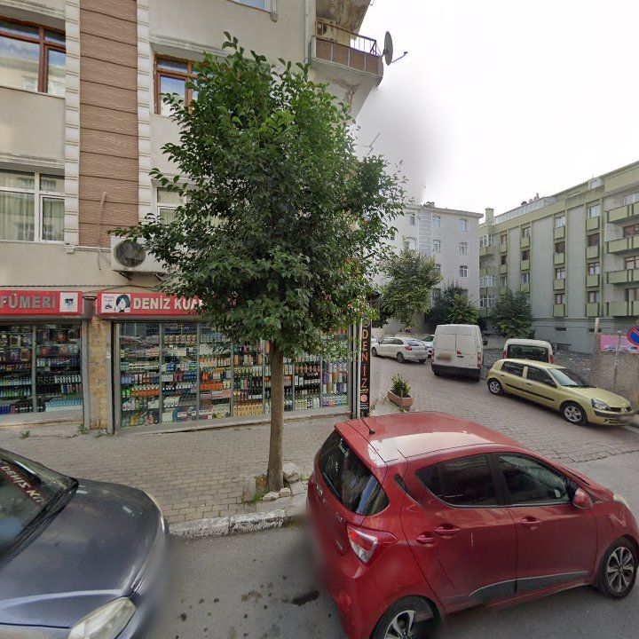 Fotoğraf 14