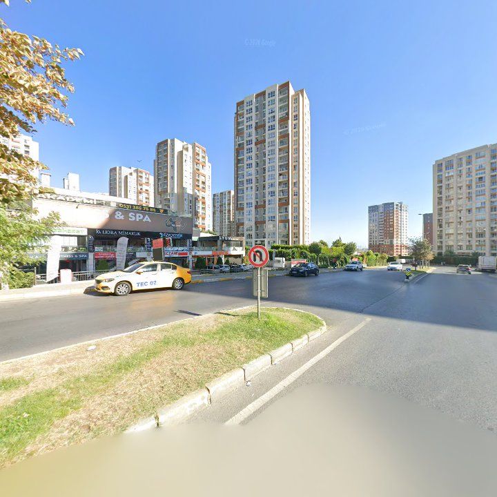 Fotoğraf 10