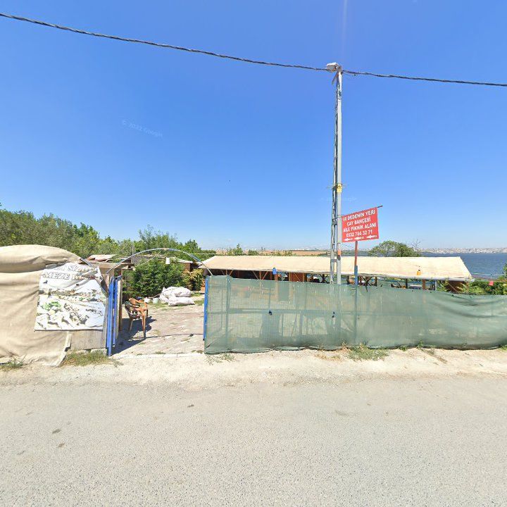Dedenin Yeri Mangalbaşı