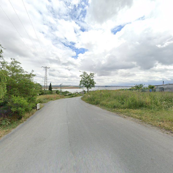 Fotoğraf 12