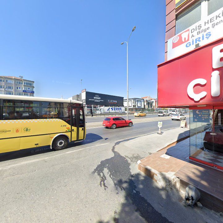 Fotoğraf 11