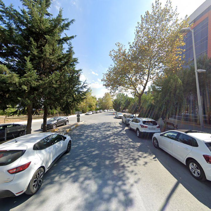 Fotoğraf 11