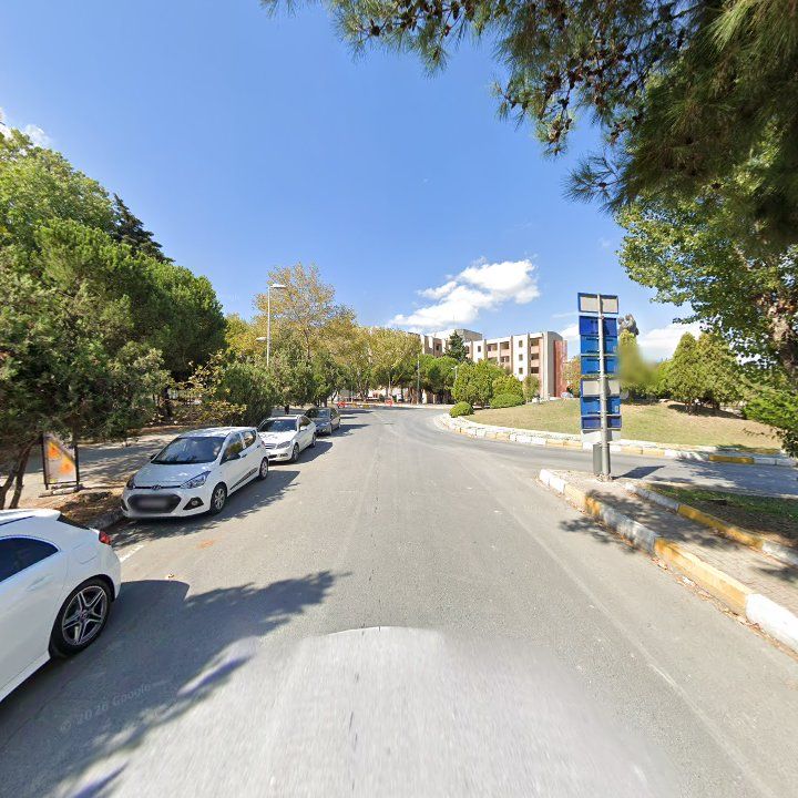 Fotoğraf 9