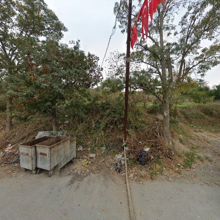 Fotoğraf 8