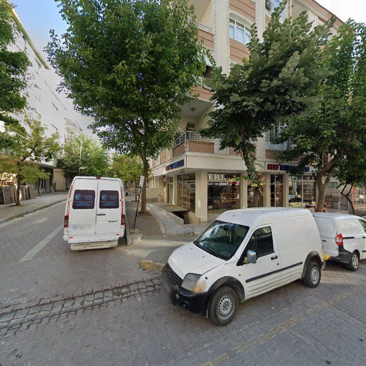 Fotoğraf 12