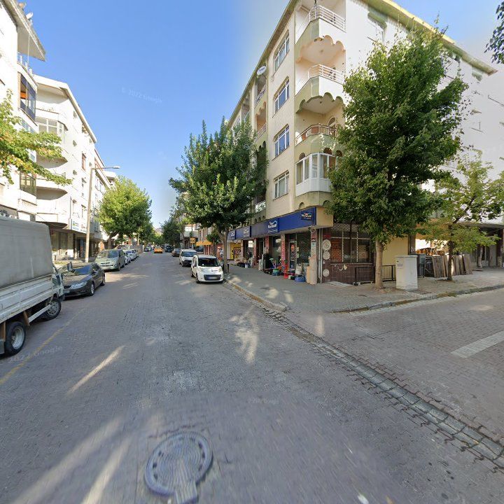 Fotoğraf 11