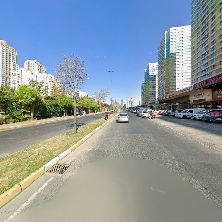 Fotoğraf 12