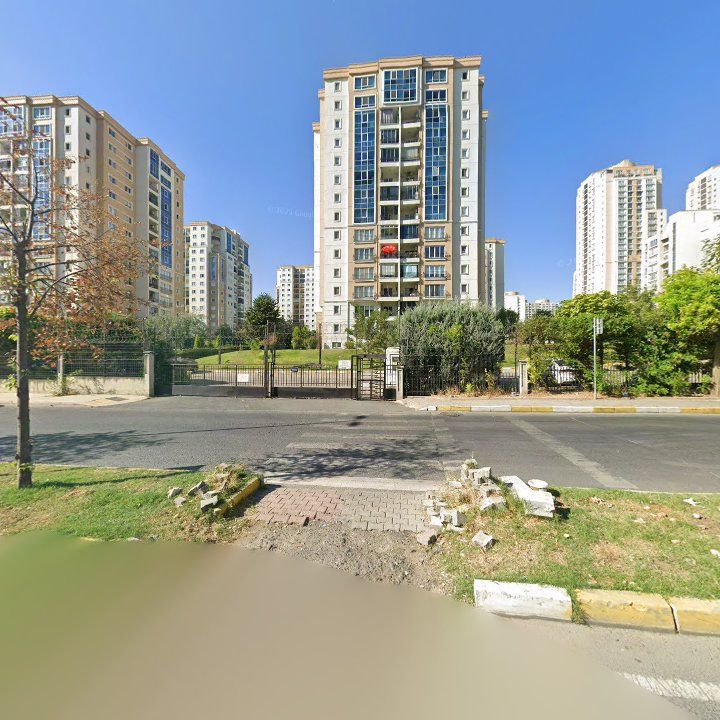 Fotoğraf 11