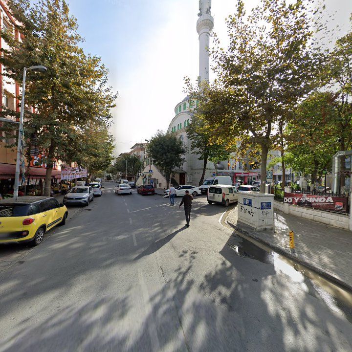 Fotoğraf 10
