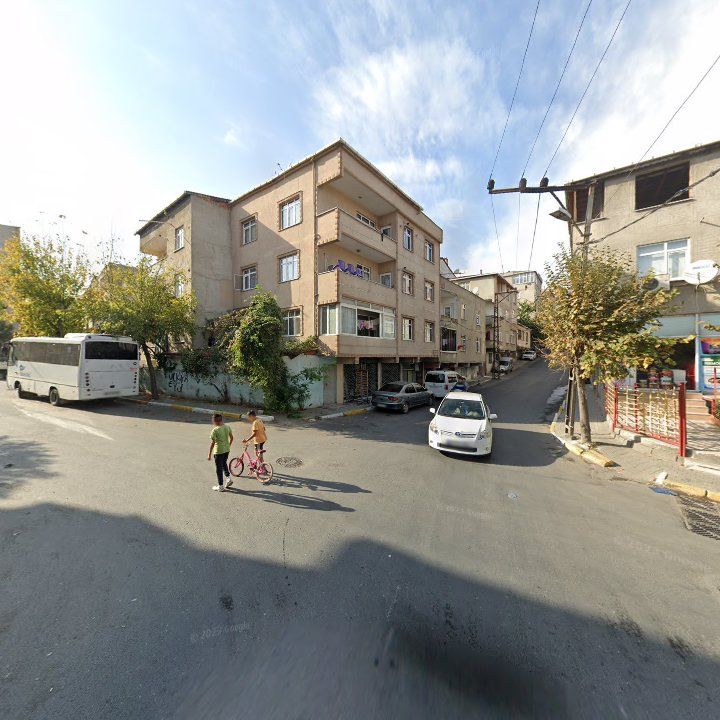 Fotoğraf 3
