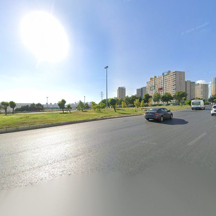Fotoğraf 12
