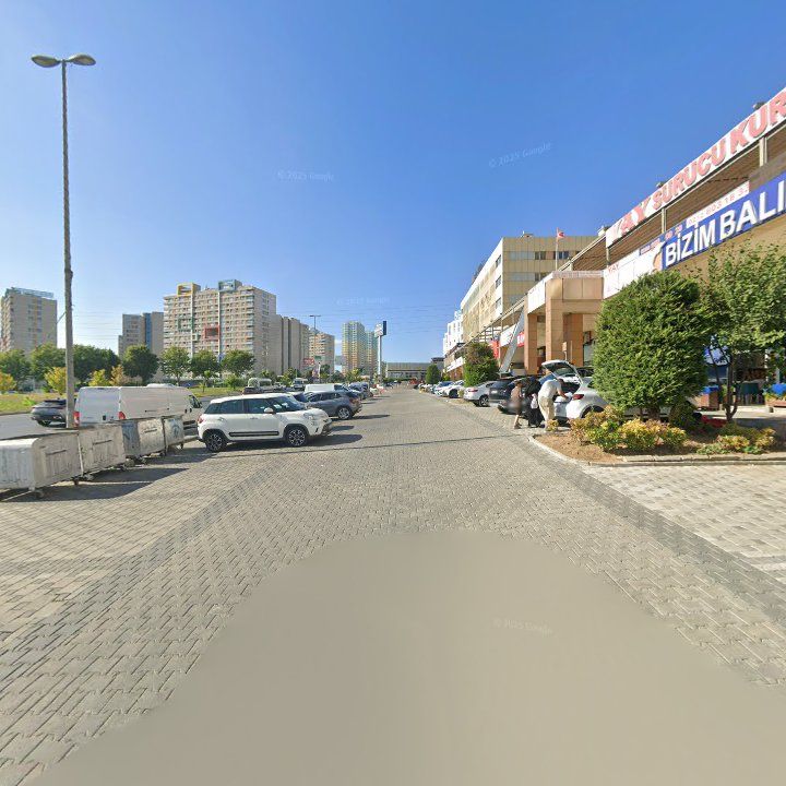 Fotoğraf 11