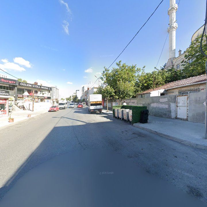 Fotoğraf 7