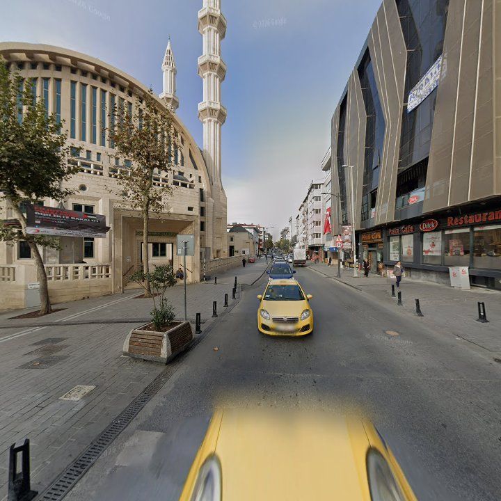 Fotoğraf 10