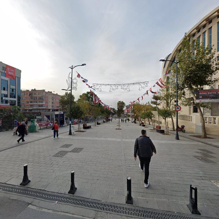 Fotoğraf 9