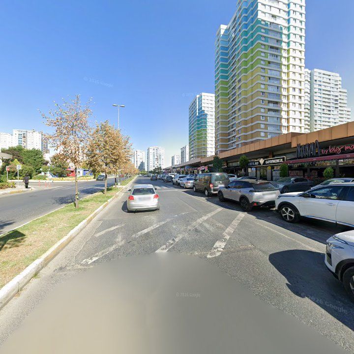 Fotoğraf 12