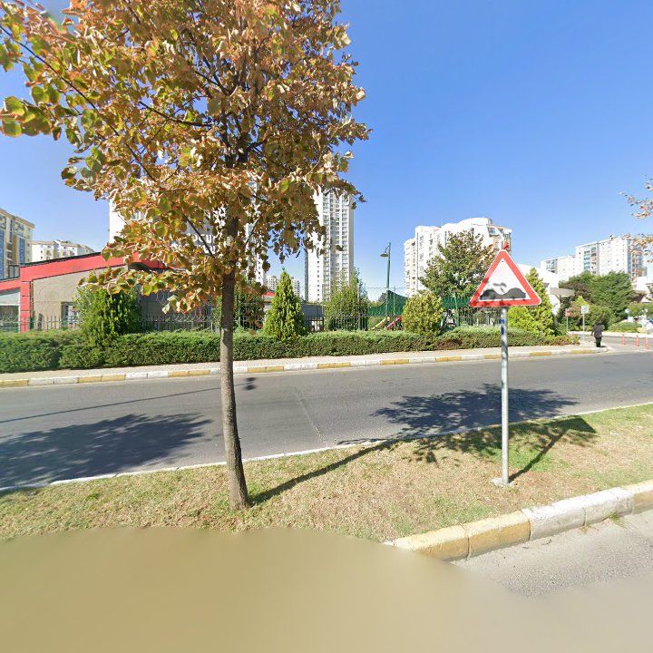Fotoğraf 11