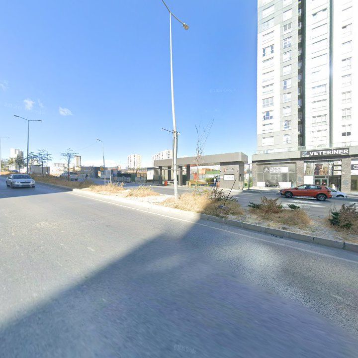 Fotoğraf 13
