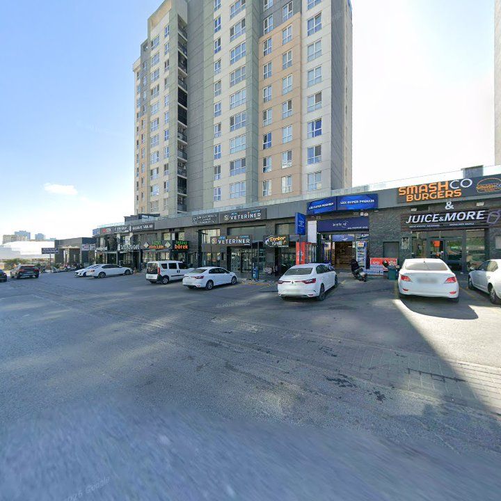 Fotoğraf 11