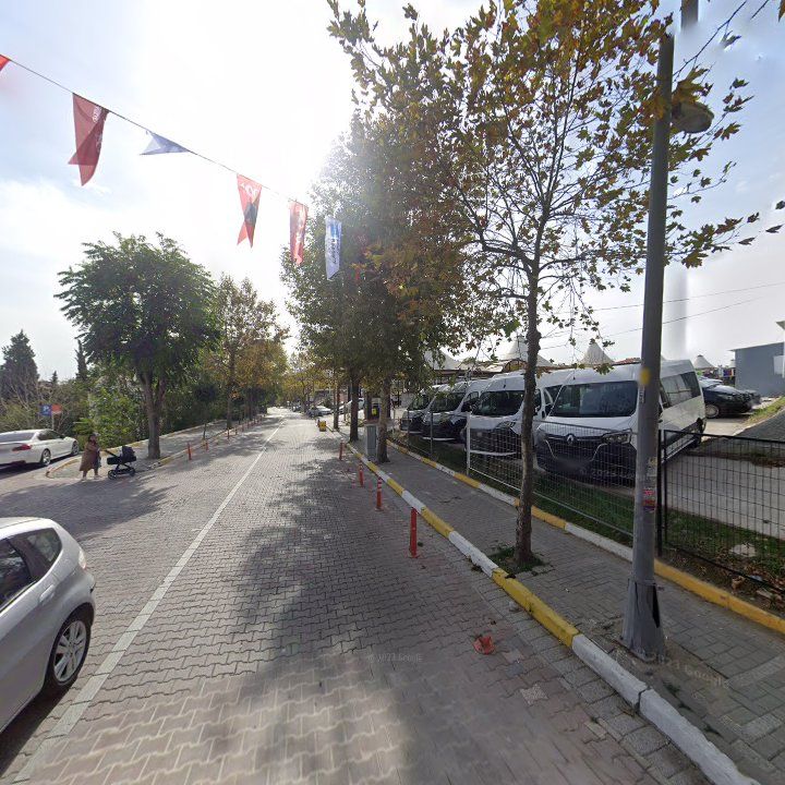Fotoğraf 11