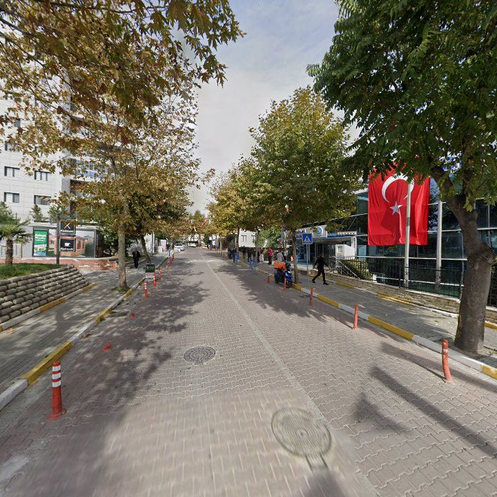 Fotoğraf 9