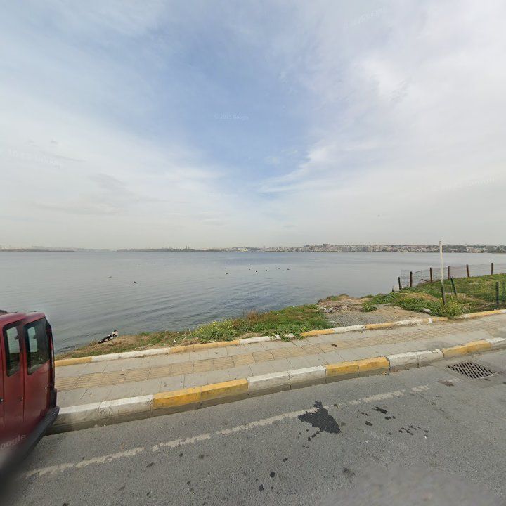 Fotoğraf 12