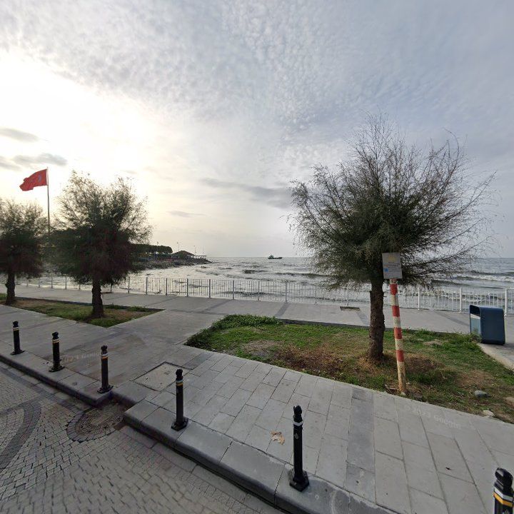 Fotoğraf 10