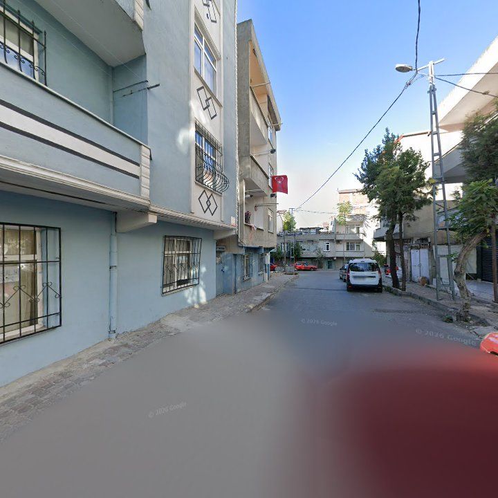 Fotoğraf 8