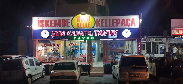 Şen Kanatçım
