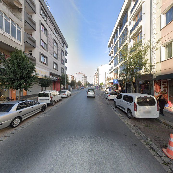 Fotoğraf 15