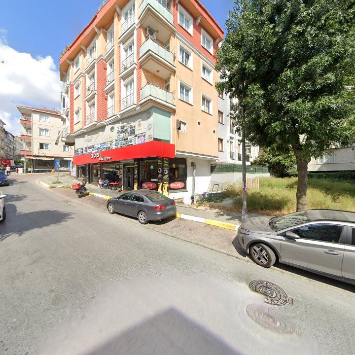 Fotoğraf 10