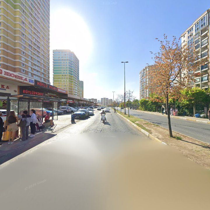 Fotoğraf 12