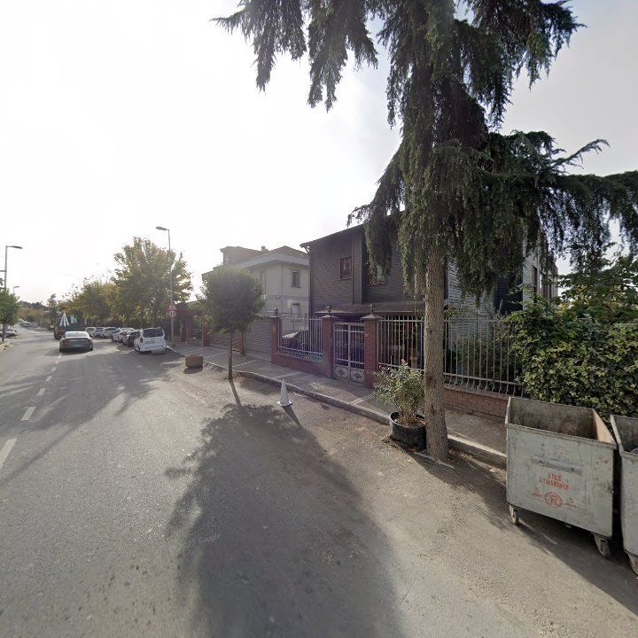 Fotoğraf 11