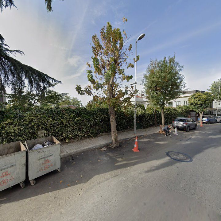 Fotoğraf 12