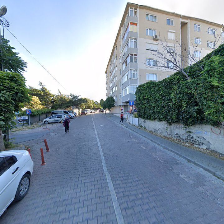 Fotoğraf 10