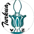 Avizecitr Turkuaz avize