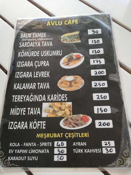 Fotoğraf 14