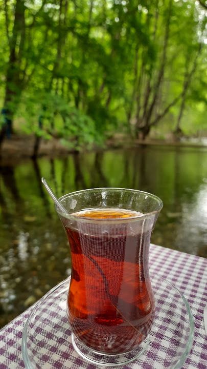 Fotoğraf 32