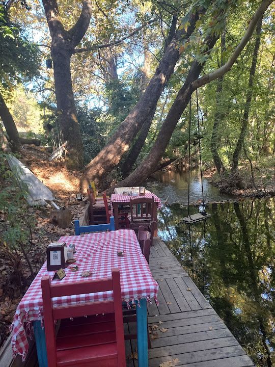 Fotoğraf 36